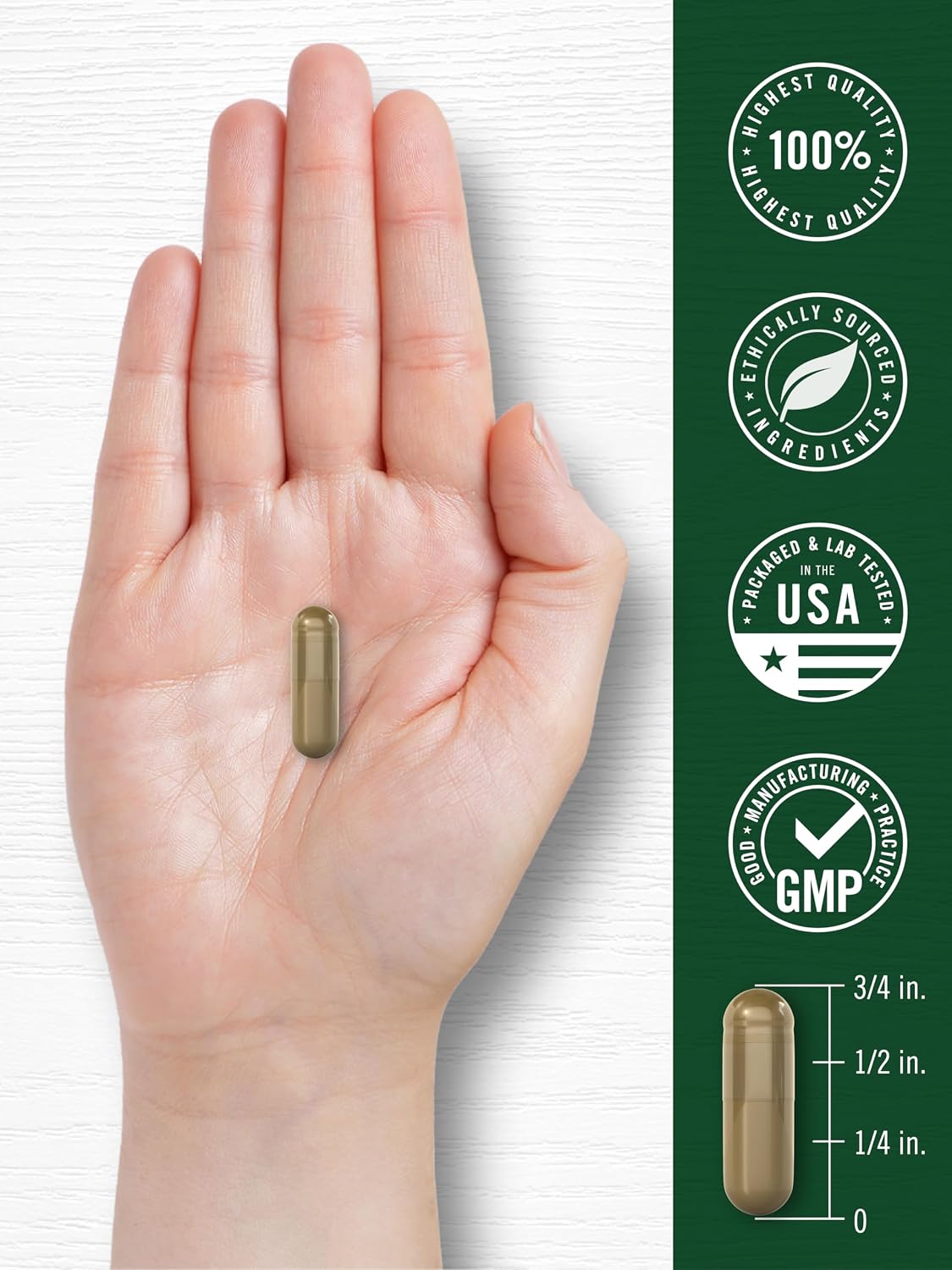 Carlyle Wormwood Capsules – 200 Count – Artemisia Annua Herb – Non-GM & Gluten-free Supplement - görsel 7