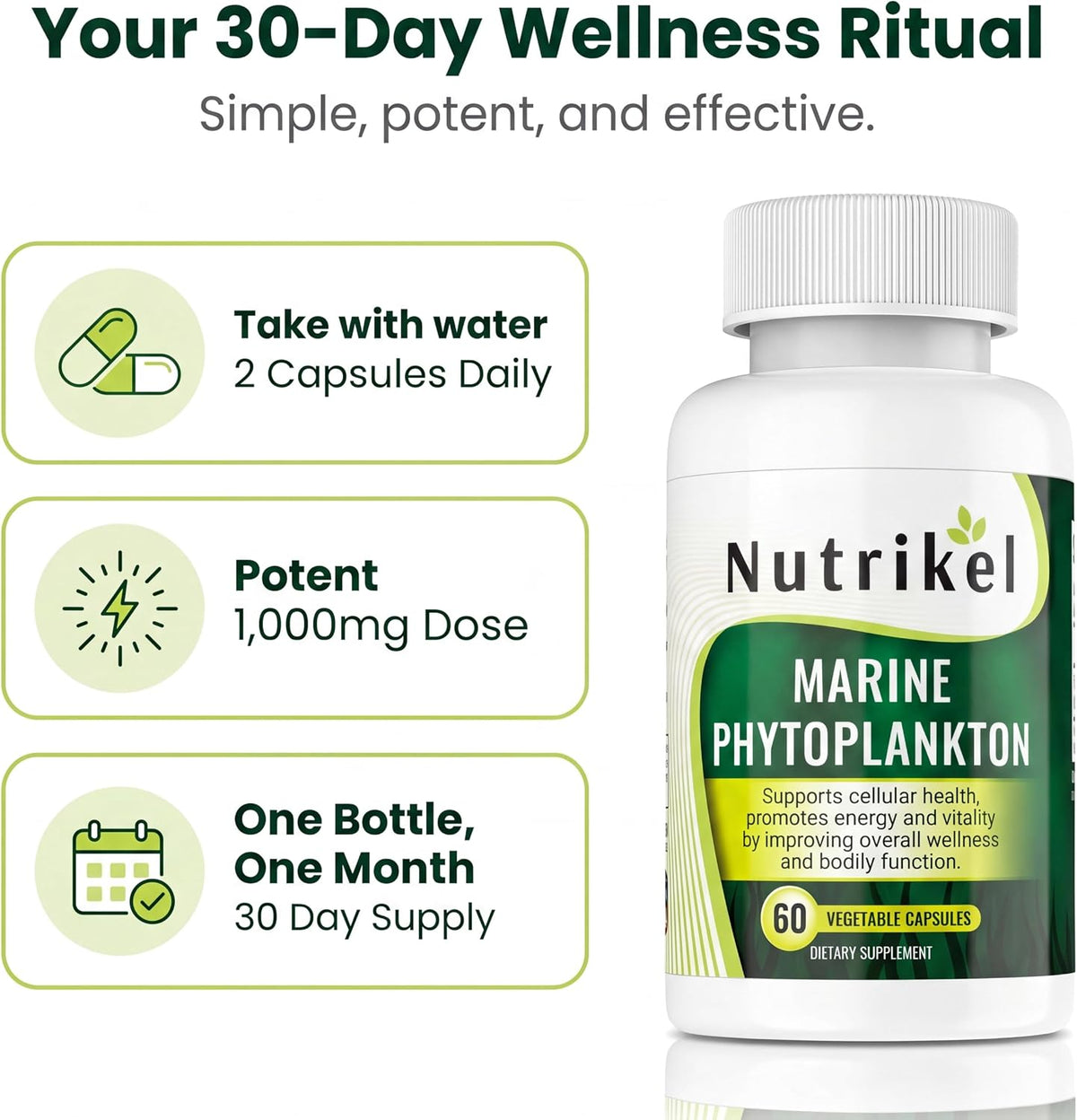 Marine Phytoplankton Omega-3 Supplement – Plant-Based Algae Capsules for Energy, Focus and Cellular Support - görsel 8