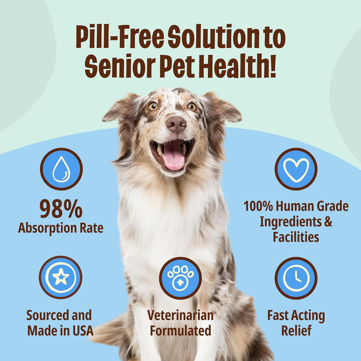 Licks Joint & Heart Support - Mobility, Joint Comfort & Heart Health Support for Dogs - MSM, Omega-3 & Vitamin E - Pill-Free Gel Packets - Chicken Flavour - 10 Packets - görsel 4