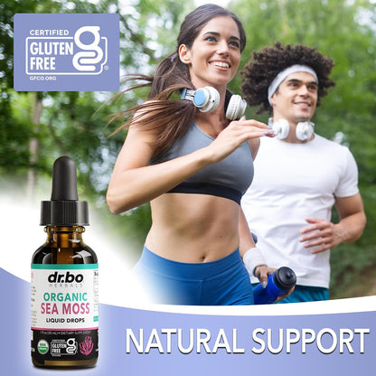 Irish Sea Moss Liquid Drops – Organic, – Great Taste: Users often comment on the pleasant, mild flavour – not – Image 5