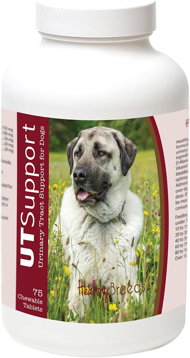 Healthy Breeds Anatolian Shepherd Dog Cranberry Chewables – Urinary Tract Support – Cranberry Extract for Dogs – 75 Count - görsel 1
