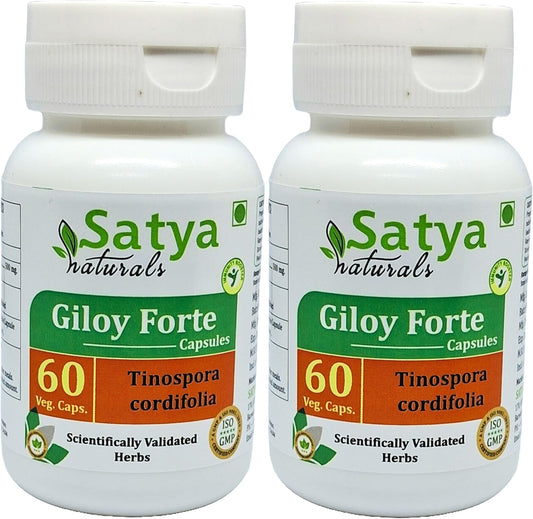 Satya Naturals Giloy Forte Capsules 500 mg - 120 Vegetable Capsules (2-Pack) - Guduchi (Tinospora Cordifolia) Extract - Ayurvedic Supplement