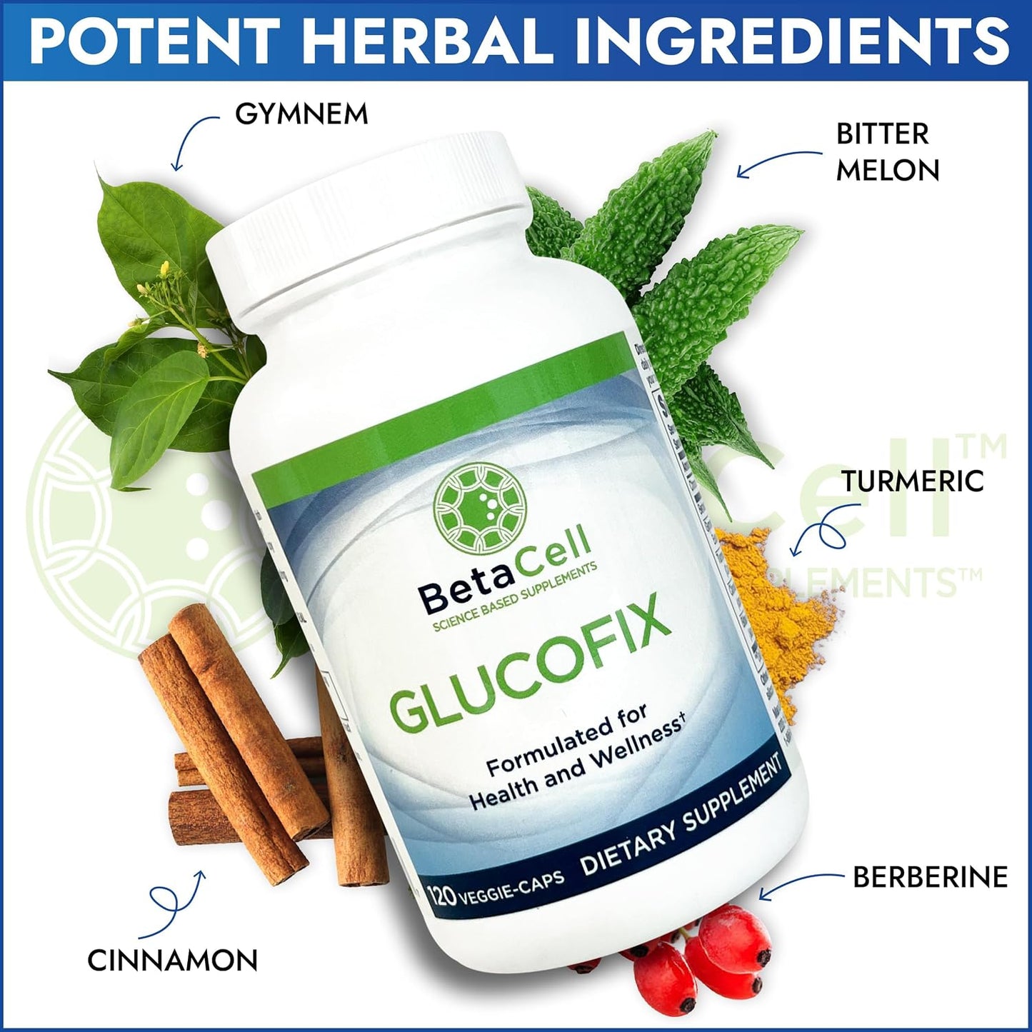 Glucofix Blood Sugar Support Supplement – Advanced Berberine Supplement with Ceylon Cinnamon, Turmeric & Bitter Melon – 120 Capsules - görsel 5
