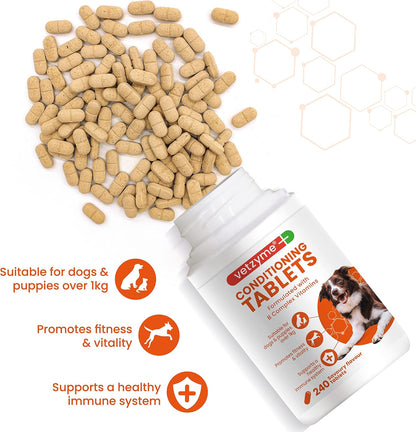 Vetzyme Conditioning Tablets 240 Tablets