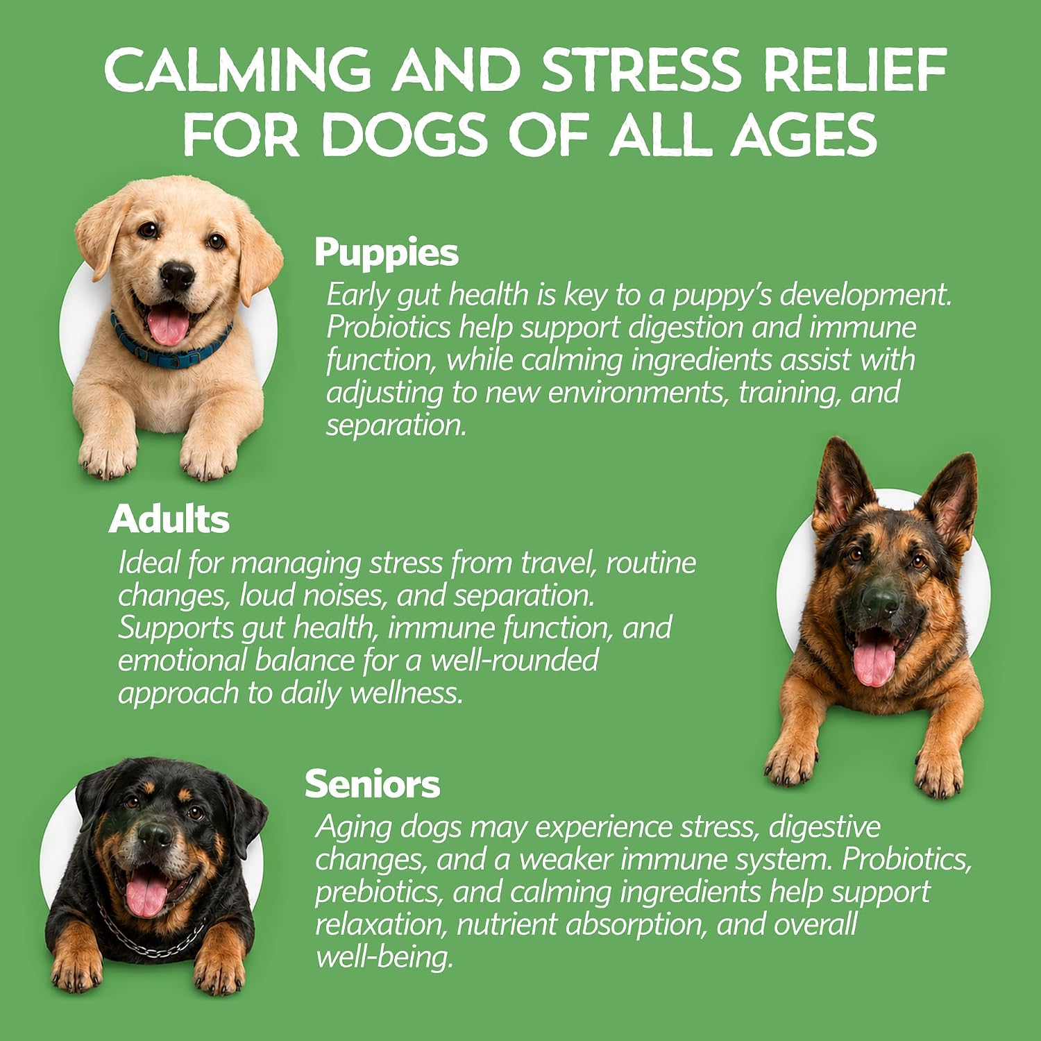 Relaxin’ Rover Calming Supplement for Dogs with Probiotics, Valerian, Chamomile & GABA – T-Bone Flavour (20 Servings) - görsel 5