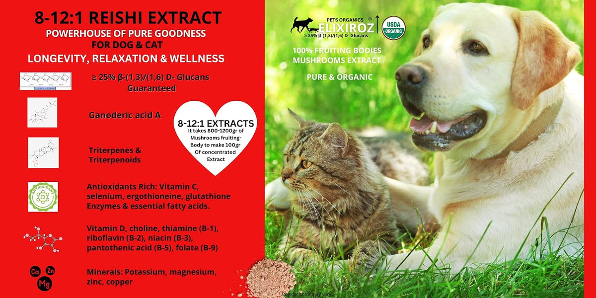 Reishi Mushroom Extract for Dogs & Cats – 35%+ Beta Glucans – Fruiting Body (8:1–12:1 Concentrated) – Immune Support, Calming & Relaxation – No Fillers – 250 Servings - görsel 5