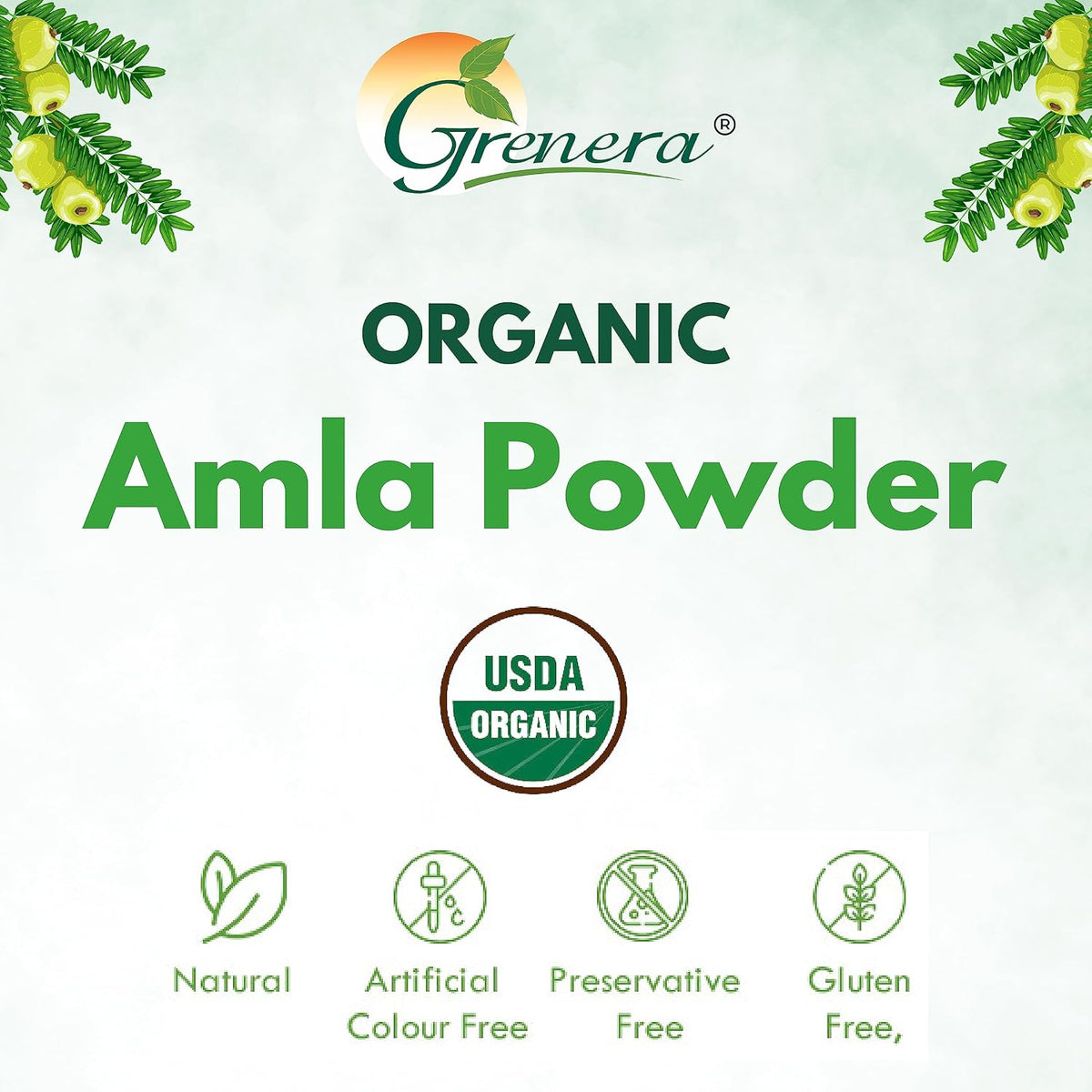 Grenera Organic Amla Powder | Organic Indian Gooseberry | Non-GMO, Vegan, Kosher & Gluten-free | 1 kg - görsel 6