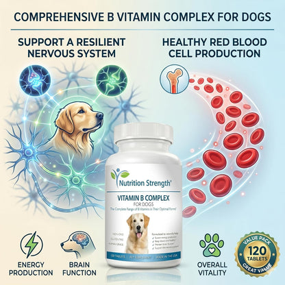 Nutrition Strength Vitamin B Complex for Dogs – for Blood Cell & Nervous System Support, 120 Chewable Tablets