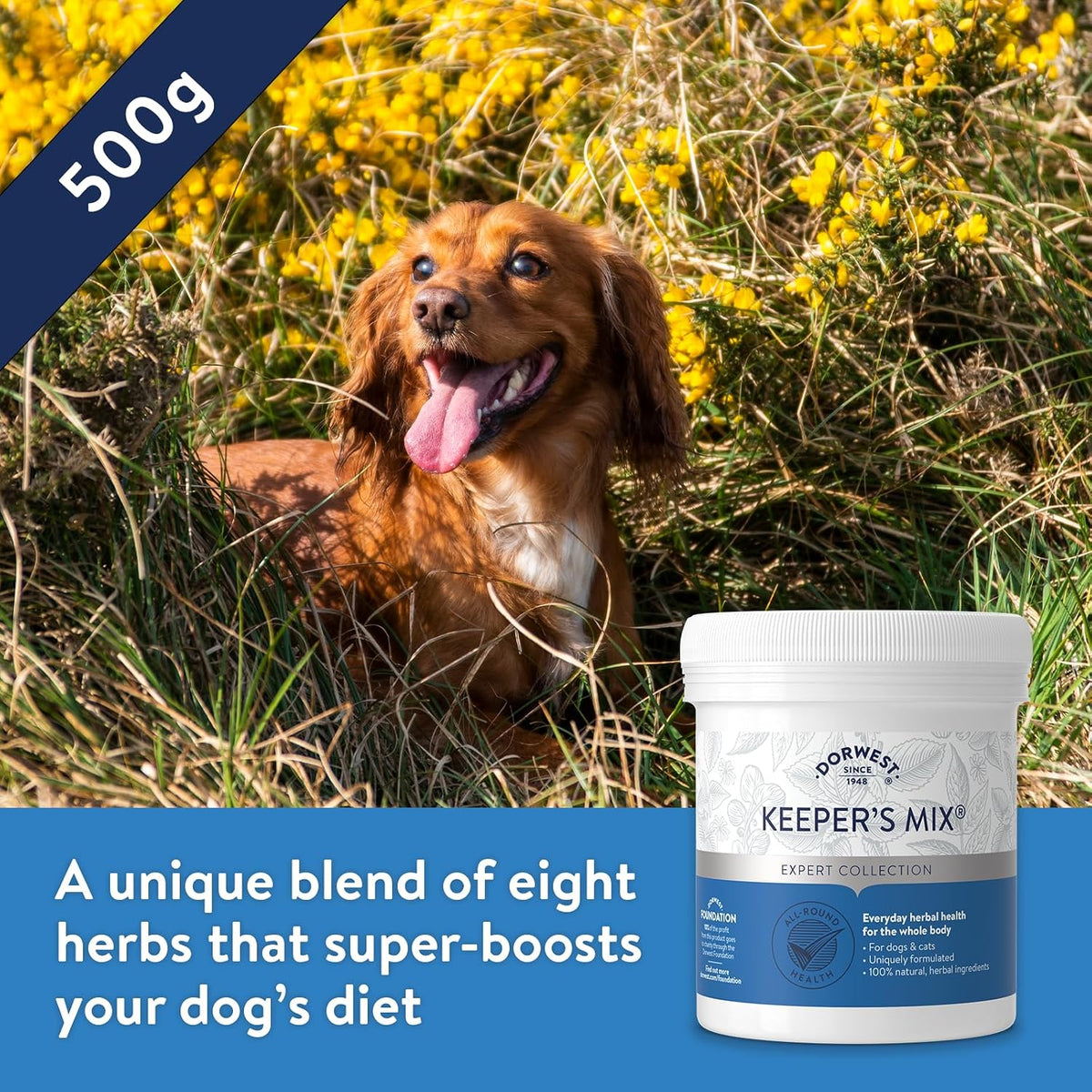 Dorwest Keeper's Mix Herbal Supplement for Dogs & Cats - görsel 5