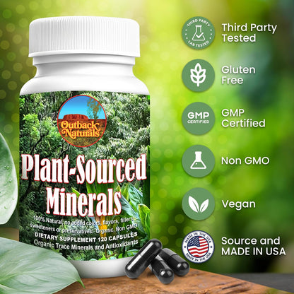 Outback Naturals Fulvic Humic Mineral Blend - Plant-Sourced Trace Minerals with Electrolytes for Cognitive & Immune Support - 120 Capsules