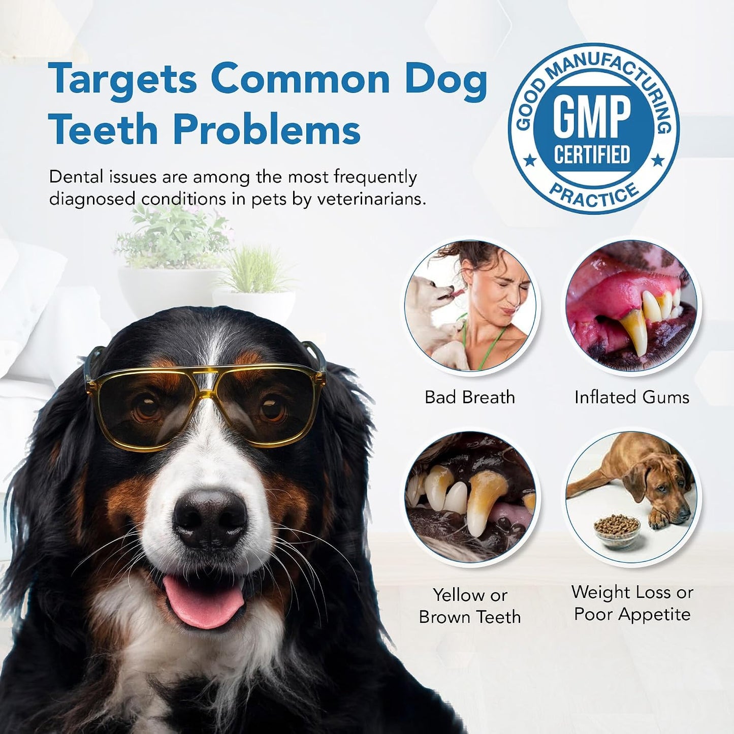 Spanielbuns Dental Powder for Dogs - Plaque Control & Tartar Remover, Breath Freshener with Probiotics (80 g) - görsel 9