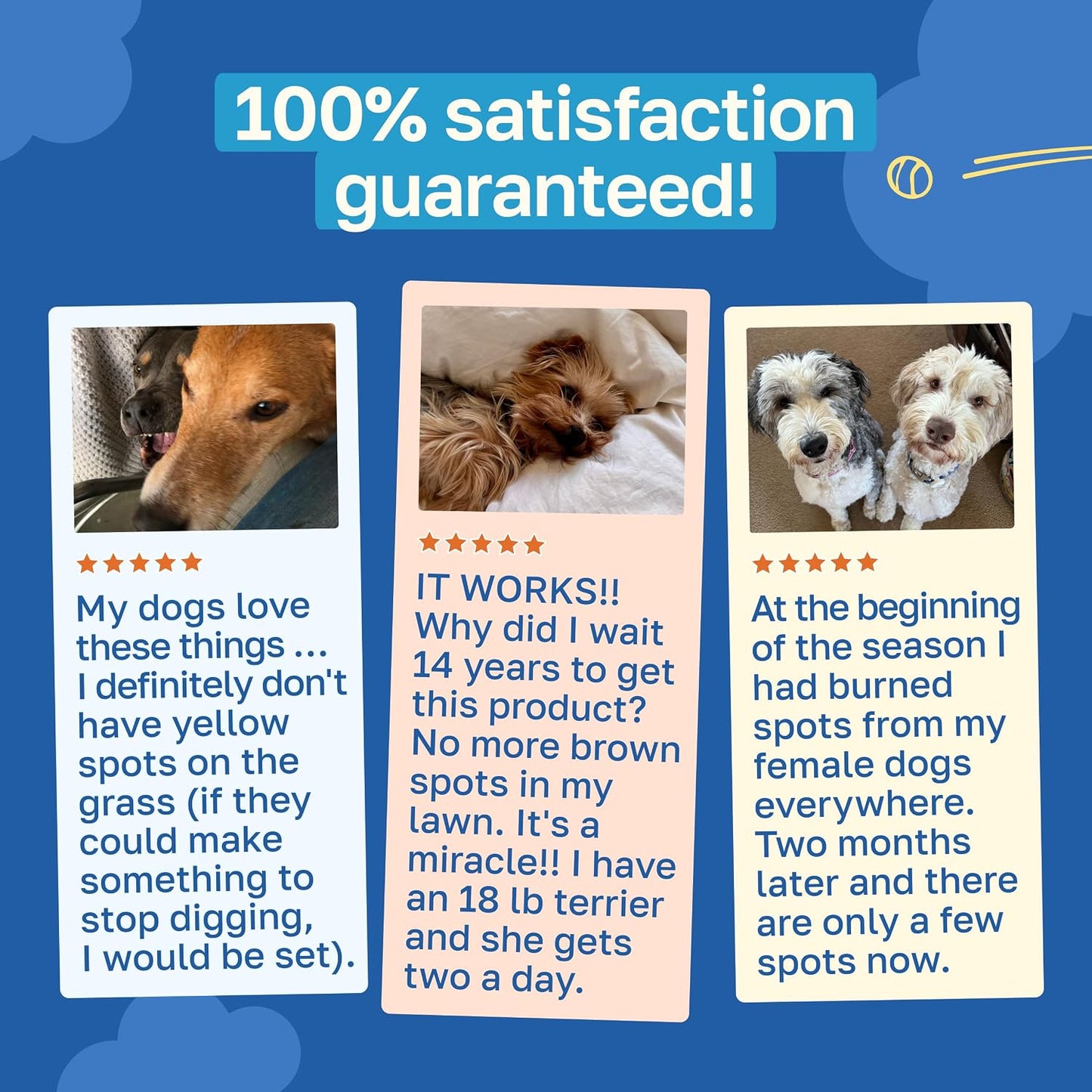 Happy Paws Lawn Saver Supplement - Dog Probiotics for Lawn Care and Digestive Health (100 Soft Chews) - görsel 6