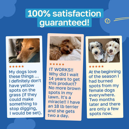 Happy Paws Lawn Saver Supplement - Dog Probiotics for Lawn Care and Digestive Health (100 Soft Chews)