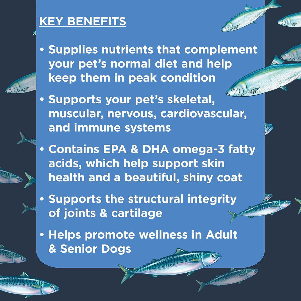 Nulo Advanced Multifunctional All-in-1 – Cognitive Function: Ingredients may help support brain health and – Image 3