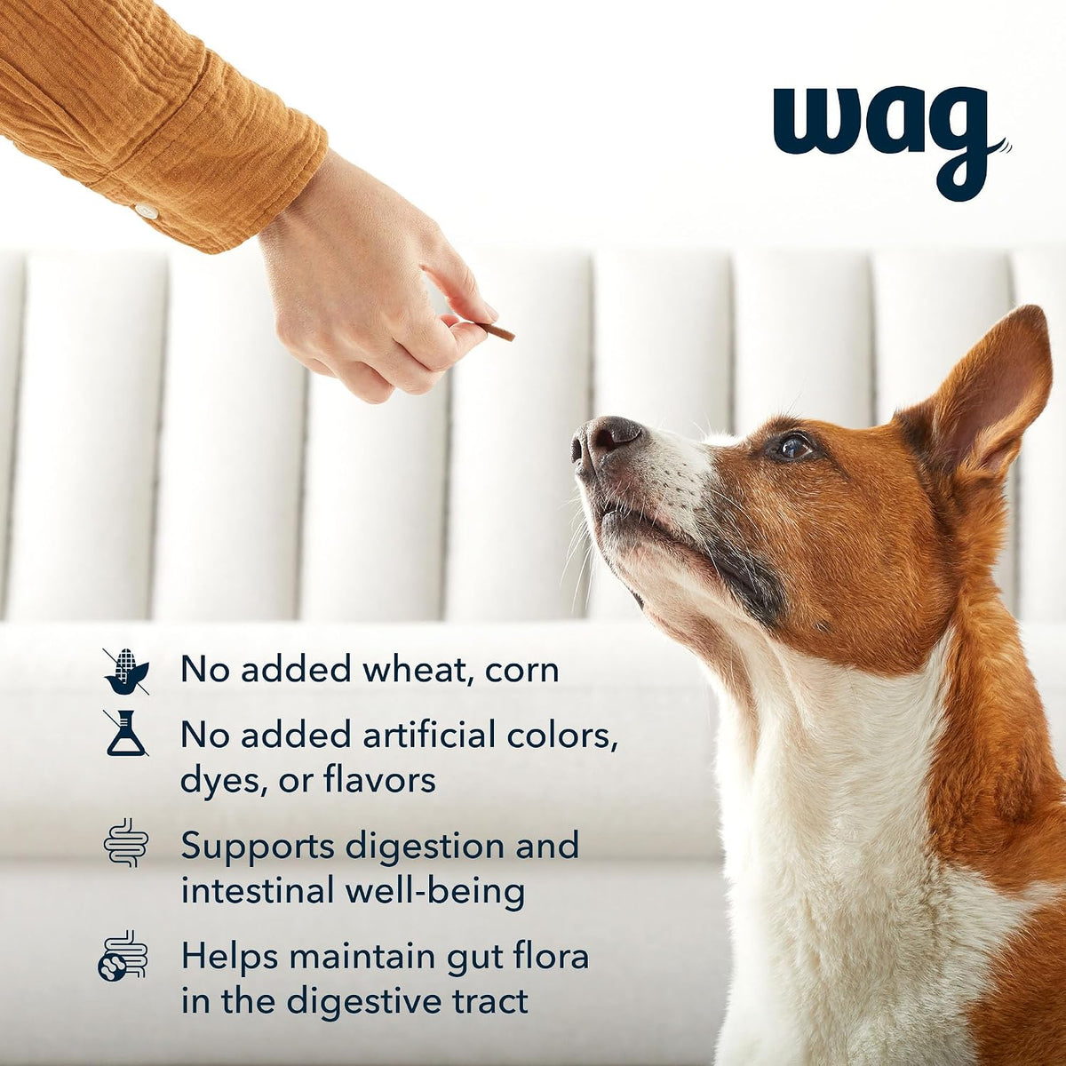 Wag Probiotic Supplement Daily Chews for Dogs – Digestive & Gut Health Support – Natural Duck Flavour, 90 Count - görsel 2