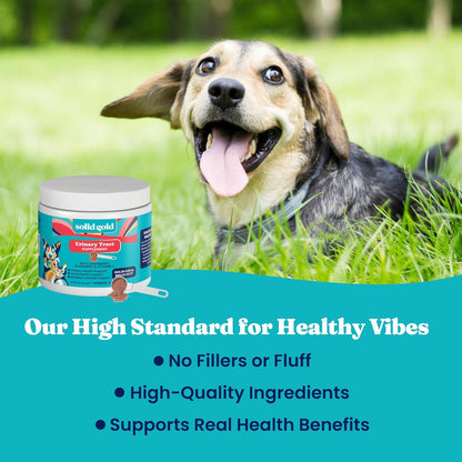Solid Gold Berry Balance Cranberry Supplement for Dogs – Urinary Tract, Bladder & Kidney Support with Antioxidants (99 g Powder)