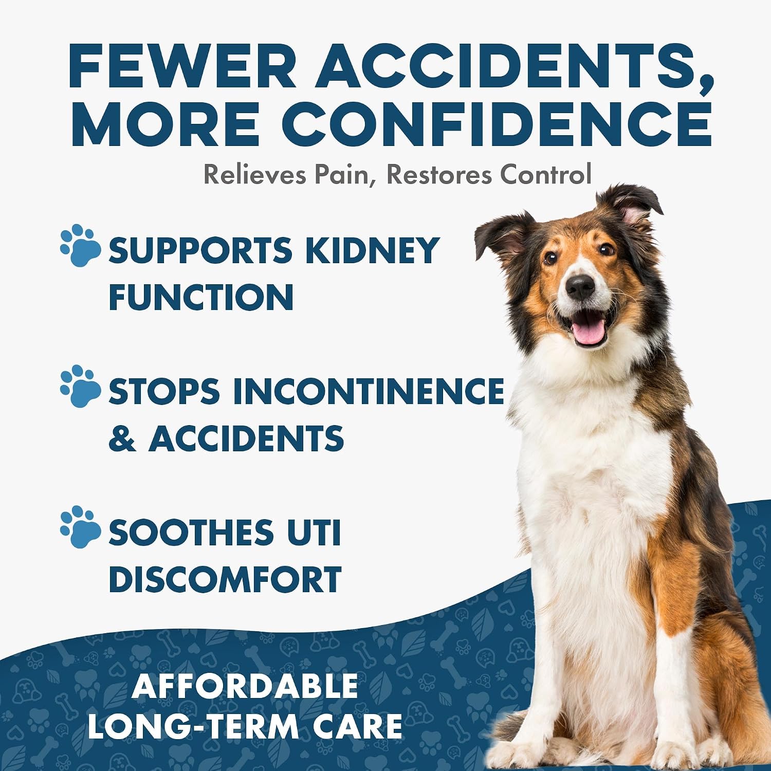 BestLife4Pets Dog UTI & Kidney Health Formula – Natural Urinary Support – 400 Tiny Pills - görsel 3