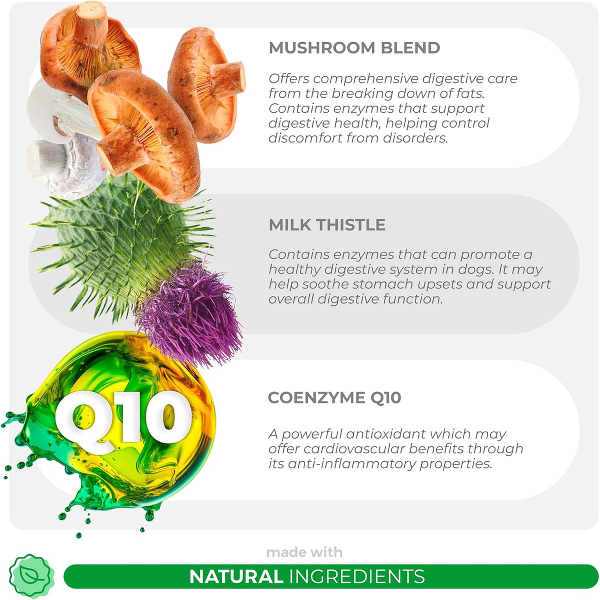 Turkey Tail Mushroom for Dogs Soft Chews - Lumps, Bumps & Immune - görsel 4