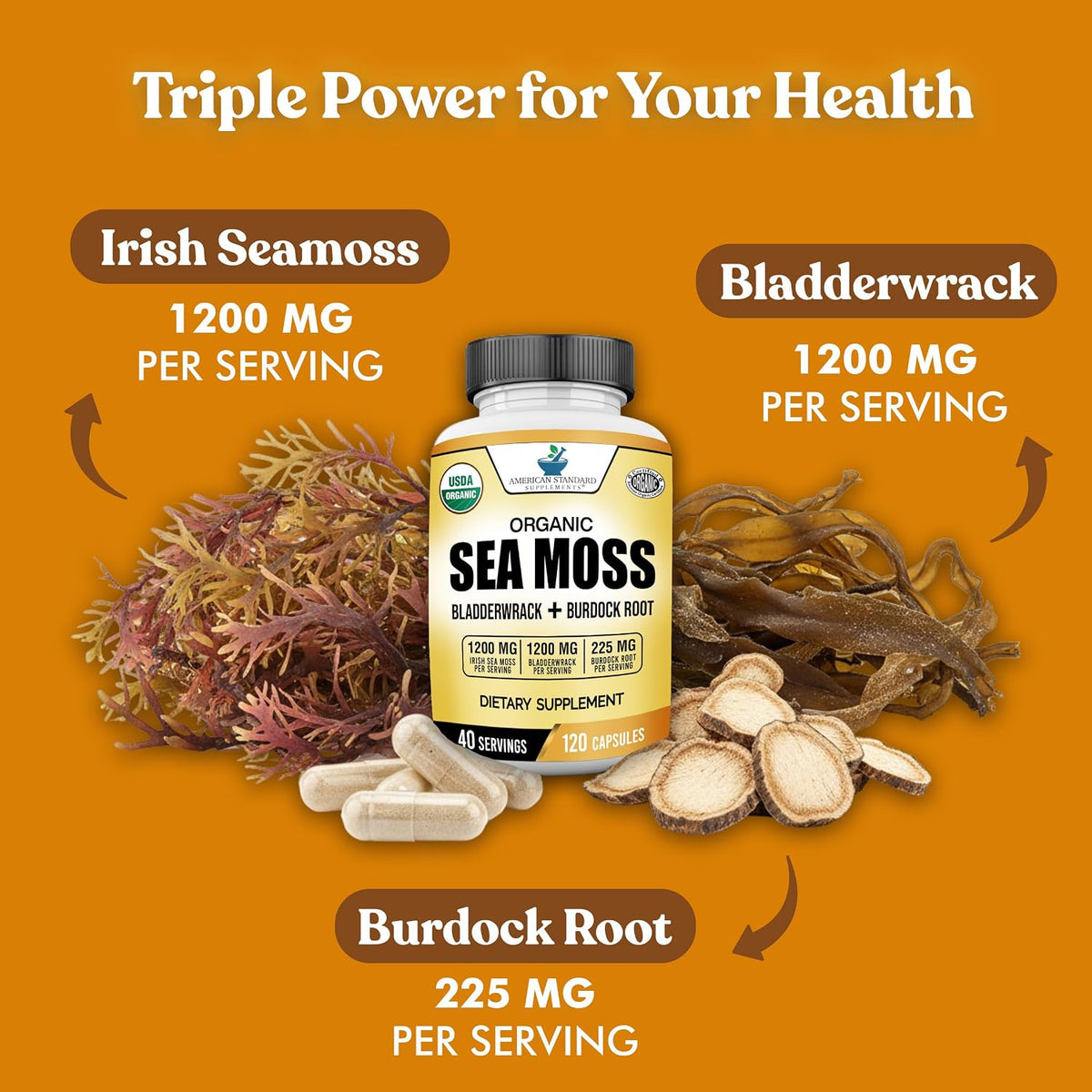 American Standard Supplements Organic Sea Moss, Bladderwrack & Burdock Root Capsules - 1200mg per Serving, 120 Capsules - görsel 4
