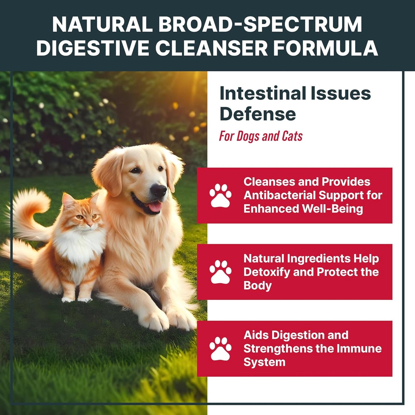 Natural Intestinal Defence Herbal Cleanser for Cats and Dogs – Broad Spectrum Gut Wellness & Digestive Support Liquid Drops by MaxBuddy - görsel 2