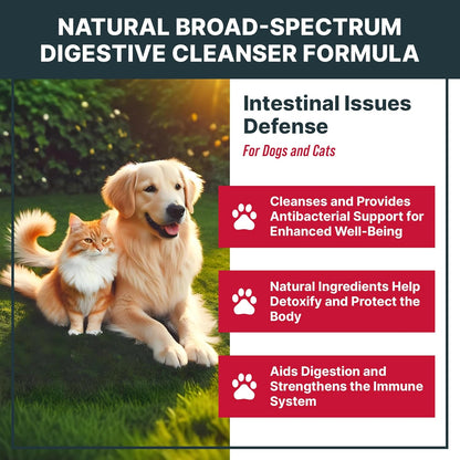 Natural Intestinal Defence Herbal Cleanser for Cats and Dogs – Broad Spectrum Gut Wellness & Digestive Support Liquid Drops by MaxBuddy