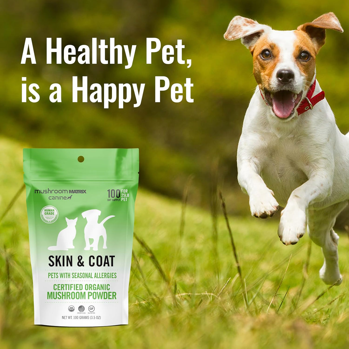 Om Mushroom Matrix Pet Canine Skin & Coat Organic Mushroom Powder, 100 g - görsel 5