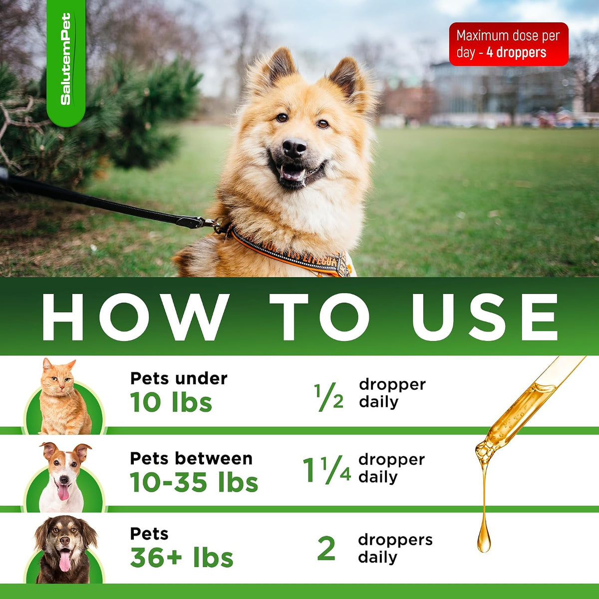 Dog Antibiotics Forte Health – Herbal Supplement for Dogs and Cats - görsel 5