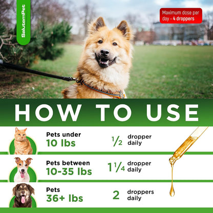 Dog Antibiotics Forte Health – Herbal Supplement for Dogs and Cats