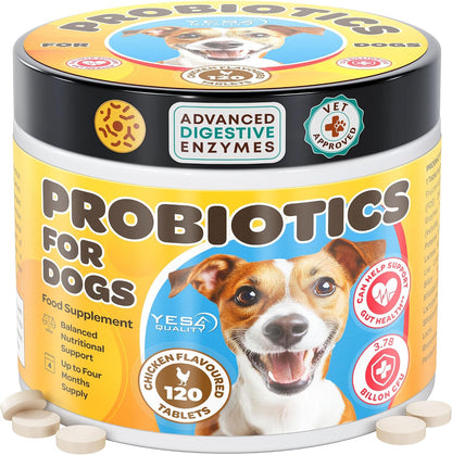 Dog Probiotics - Prebiotic & Probiotic Chews - Supports Immunity, Digestive & Gut Health - 120 Chicken Flavoured Tablets