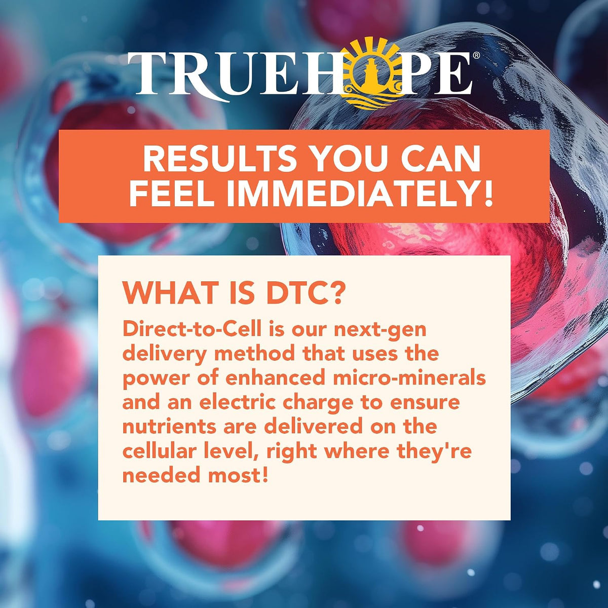 Truehope Multivitamin Nootropic Pouches with Inositol - Once-Per-Day EMPowerplus Ultimate Sticks - 30 Sachets (Tropical) - görsel 7