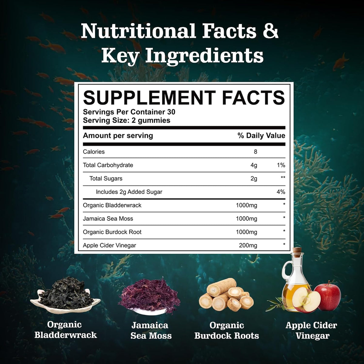 Vitastars Organic Sea Moss Gummies with Apple Cider Vinegar, Burdock Root & Bladderwrack - 3000 mg, 60 Gummies - görsel 4