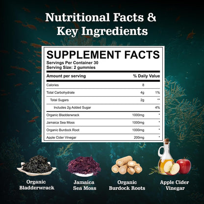 Vitastars Organic Sea Moss Gummies with Apple Cider Vinegar, Burdock Root & Bladderwrack - 3000 mg, 60 Gummies