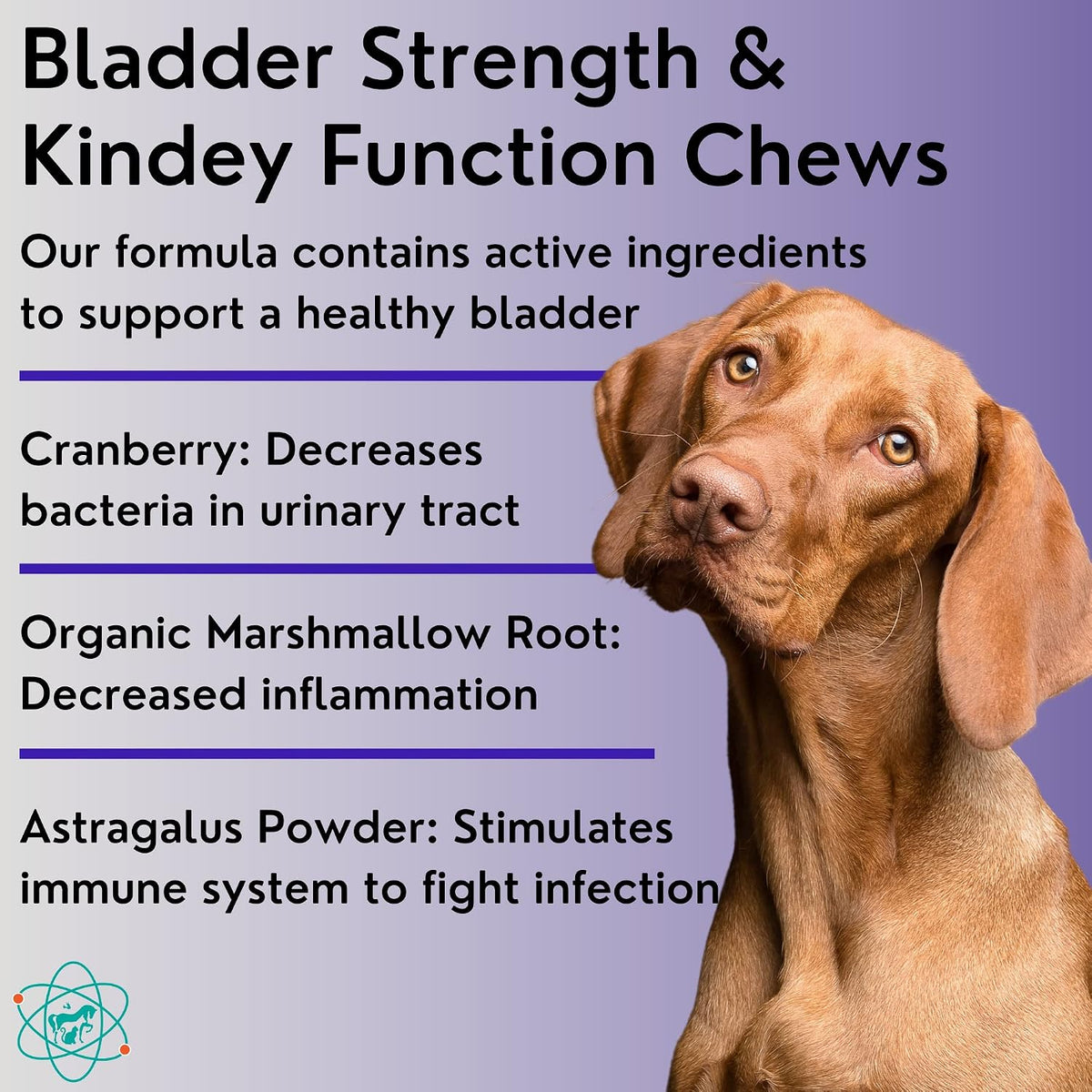 PET CARE Sciences Dog Incontinence Supplement – Bladder Control for Dogs, 55 Soft Chews - görsel 2