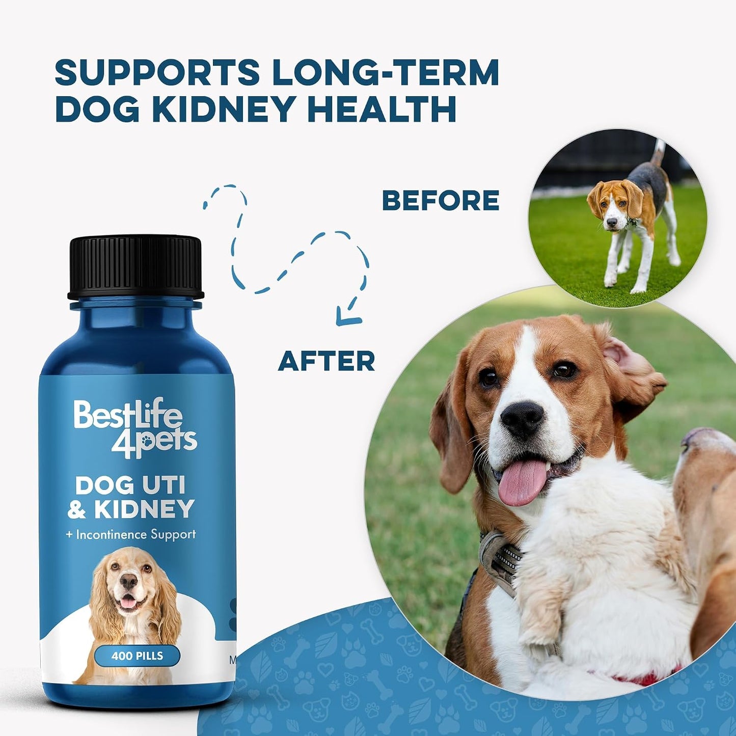 BestLife4Pets Dog UTI & Kidney Health Formula – Natural Urinary Support – 400 Tiny Pills - görsel 4