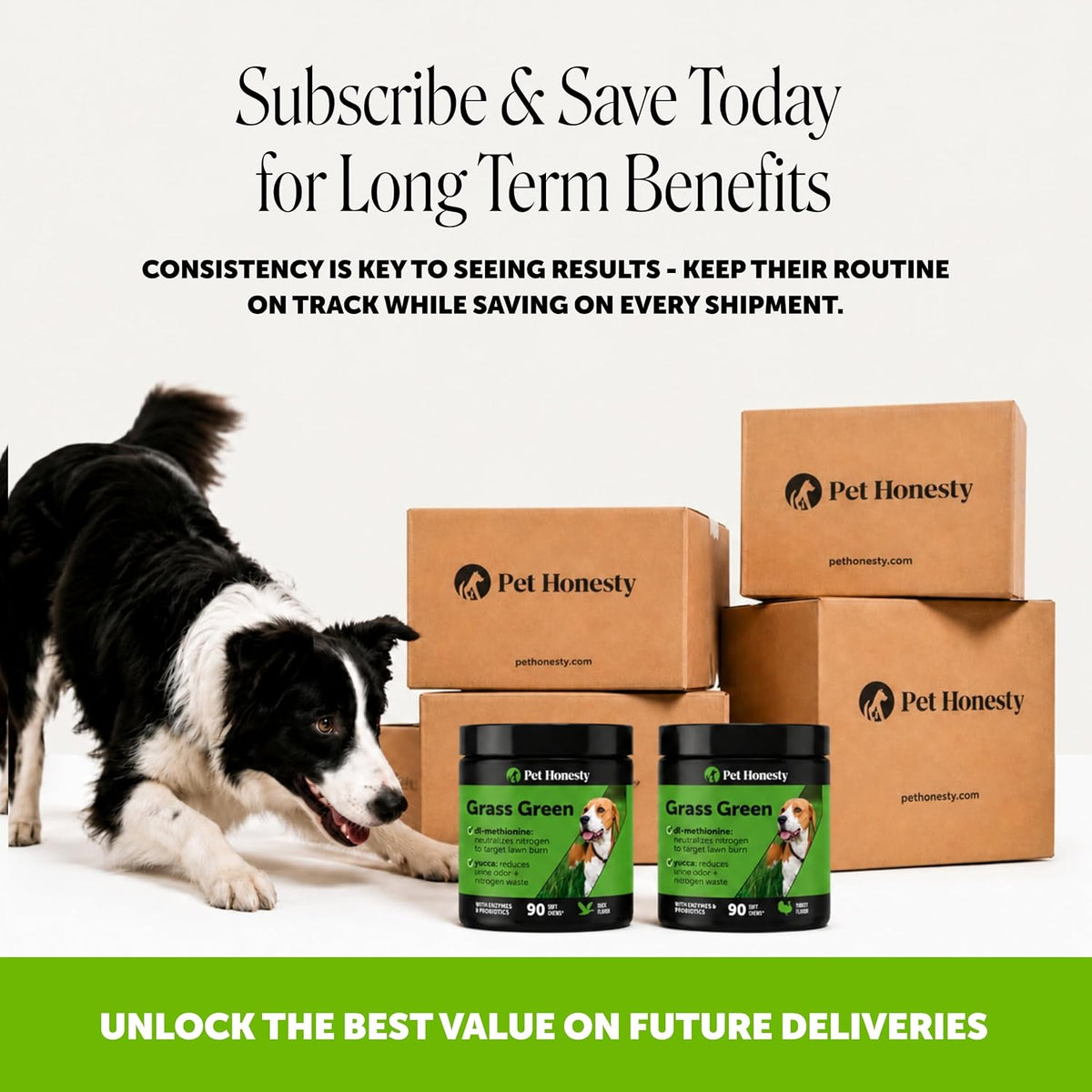 Pet Honesty Grass Green Dog Urine Neutralizer for Lawns - Duck Flavour, 90 Chews - görsel 6