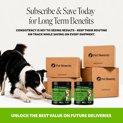 Pet Honesty Grass Green Dog Urine Neutralizer for Lawns - Duck Flavour, 90 Chews