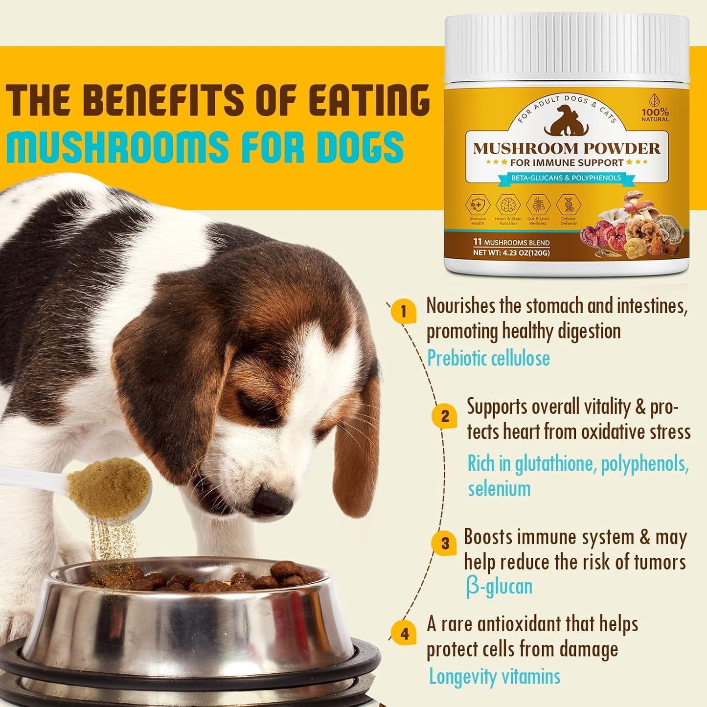 Organic Mushroom Supplement Powder for Dogs & Cats – 11 Mushroom Complex with Turkey Tail, Reishi & Cordyceps, Supports Lipoma, Lumps & Bumps Relief, Immune & Skin Health, 120g - görsel 5