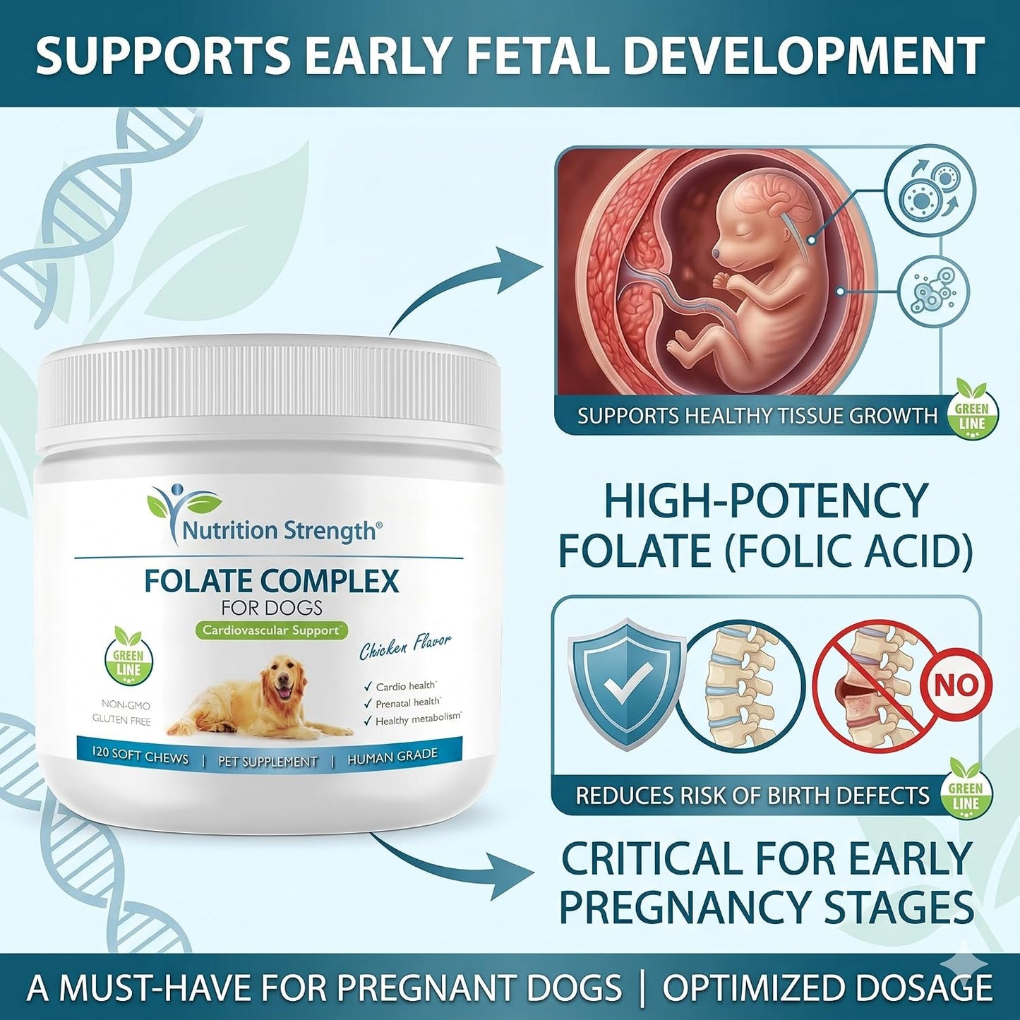 Nutrition Strength Folate for Dogs – Cardiovascular & Prenatal Support, DNA Synthesis, with Zinc, Biotin, Iron & Vitamin B12, 120 Soft Chews - görsel 7