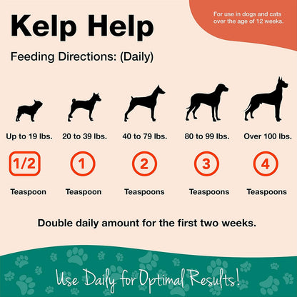 NaturVet Kelp Help Plus Omegas Skin and Coat Supplement for Dogs & Cats - Powder, 454 g