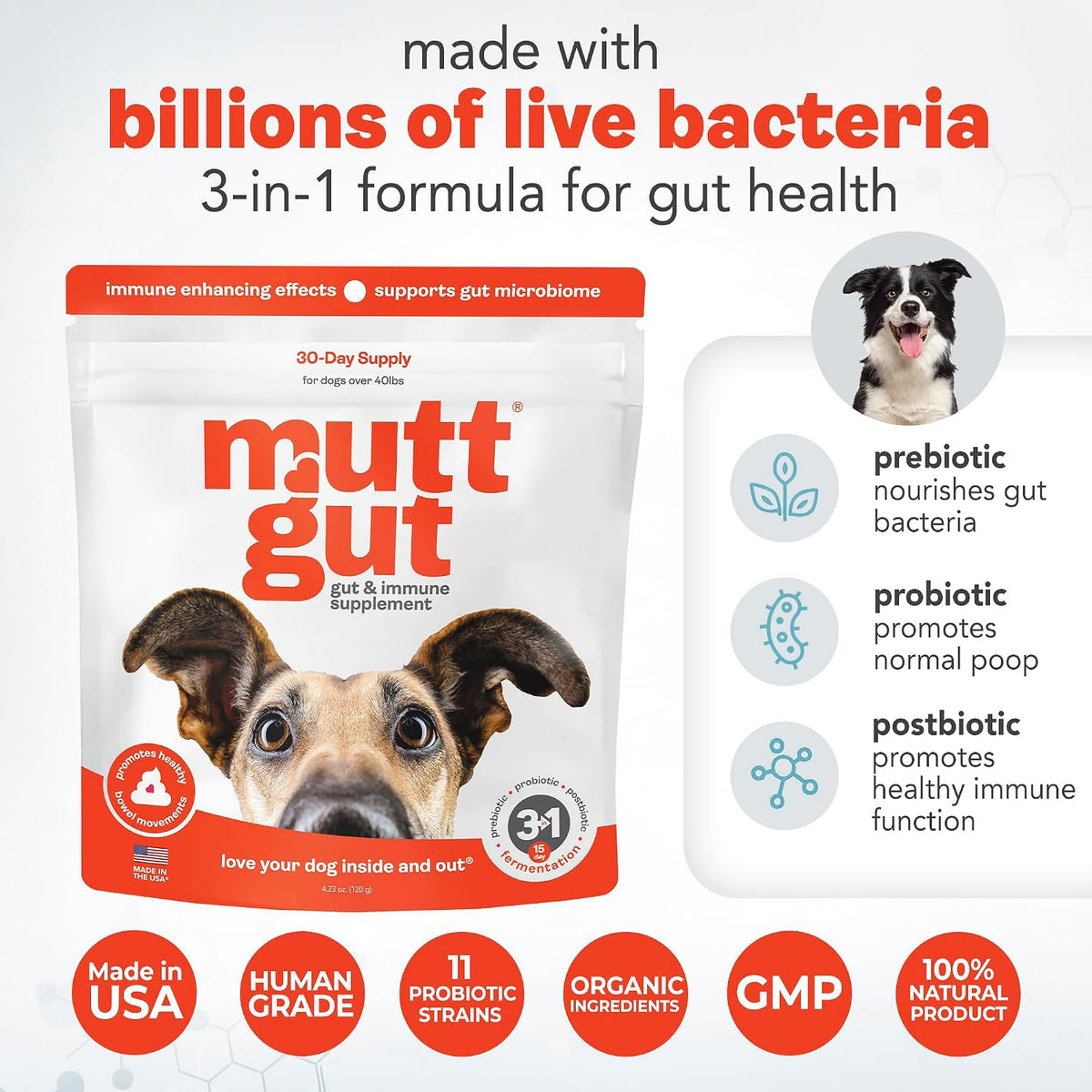 MUTTGUT All Natural 3-in-1 Probiotics for Dogs – Postbiotic Powder Supplement (120g) - görsel 4