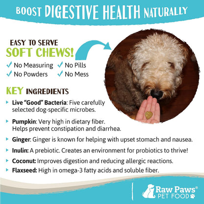 Raw Paws Natural Dog Probiotic Supplement with Prebiotics, 100 Soft Chews