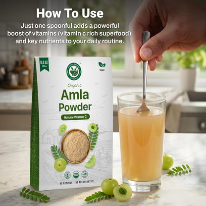 Amla Powder (Amalaki) 8.8 oz – USDA Organic Indian Gooseberry Powder, Laboratory Tested, Rich in Vitamin C & Antioxidants, Traditionally Used for Immune, Digestive & Skin Health, Non-GM, Vegan