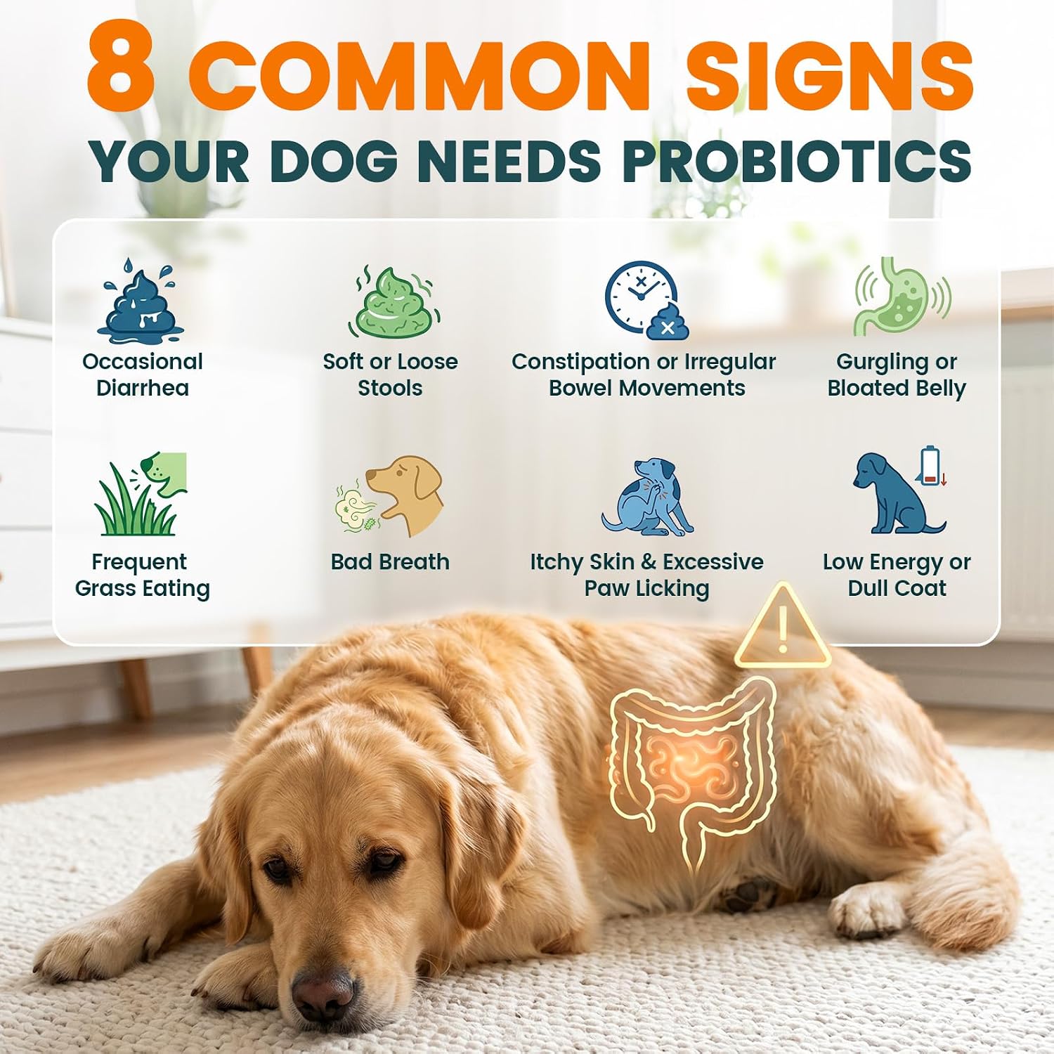 Probiotics for Dogs, Chicken Flavour (200 Chews) – Supports Digestive Health, Skin & Immunity - görsel 4