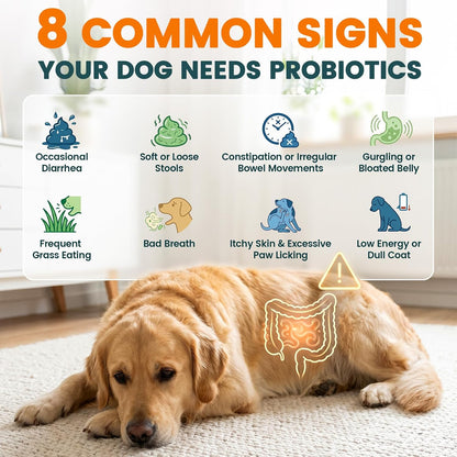 Probiotics for Dogs, Chicken Flavour (200 Chews) – Supports Digestive Health, Skin & Immunity