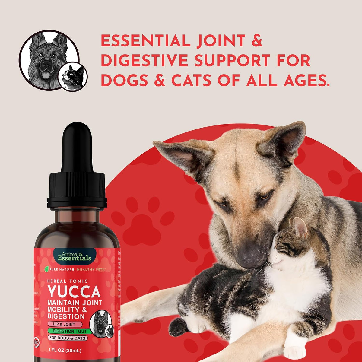 Yucca - Hip and Joint Yucca Root Supplement for Dogs & Cats, Liquid Herbal Care Drops for Senior Dogs & Older Pets, Digestion & Immune Support, Antioxidant Boost - 30 ml - görsel 8
