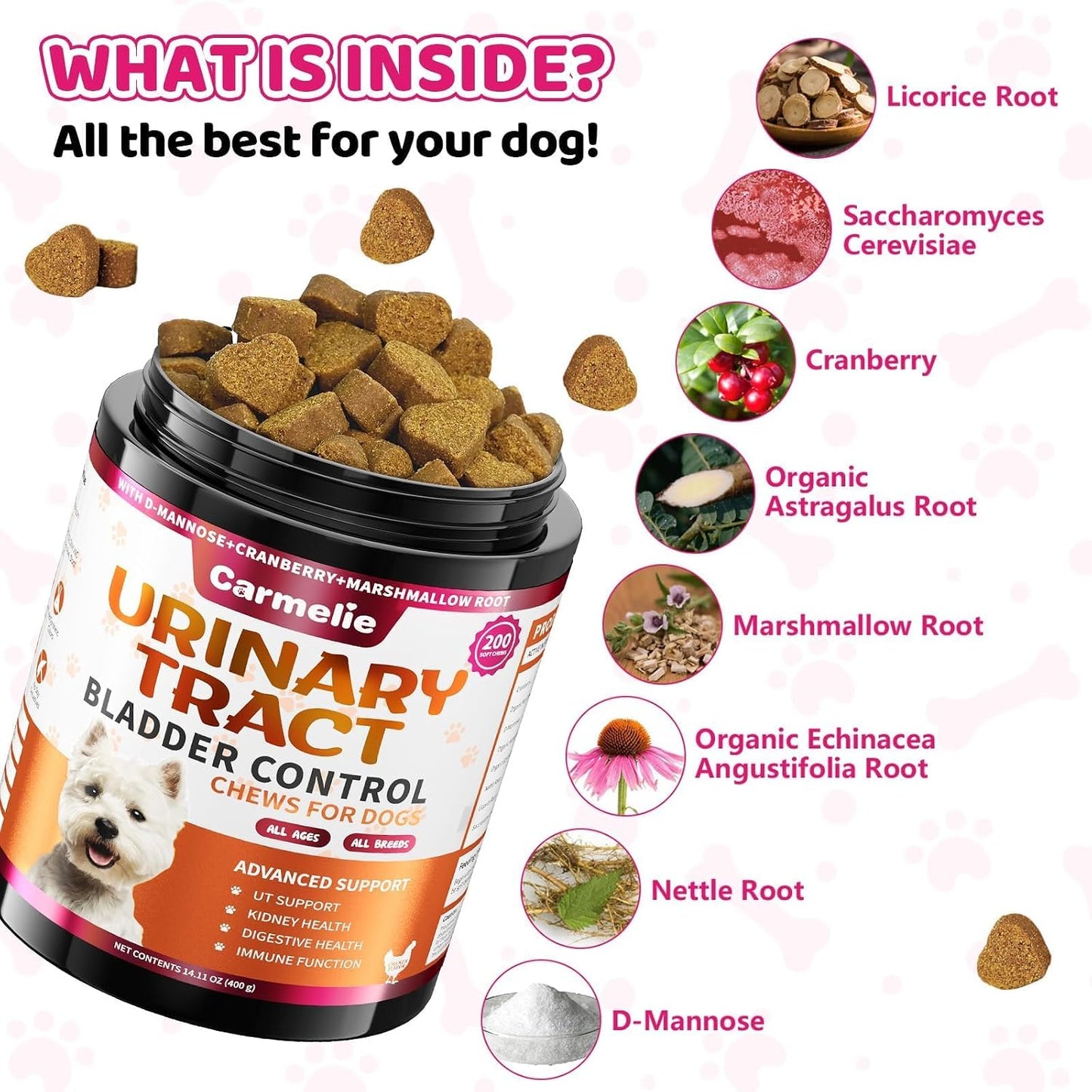 Cranberry Supplement for Dogs, Urinary Tract & Bladder Support - Cranberry Chews with D-Mannose - Kidney+Bladder, Digestion & Immune Support - 200 Chews, Chicken Flavour - görsel 4