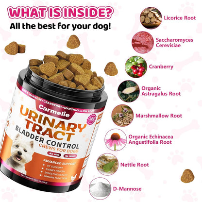Cranberry Supplement for Dogs, Urinary Tract & Bladder Support - Cranberry Chews with D-Mannose - Kidney+Bladder, Digestion & Immune Support - 200 Chews, Chicken Flavour