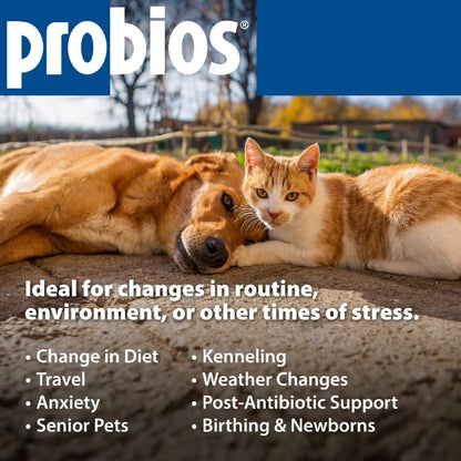 Probios Digestive Support Probiotic for Dogs, Horses, Cats - 240 Grammes