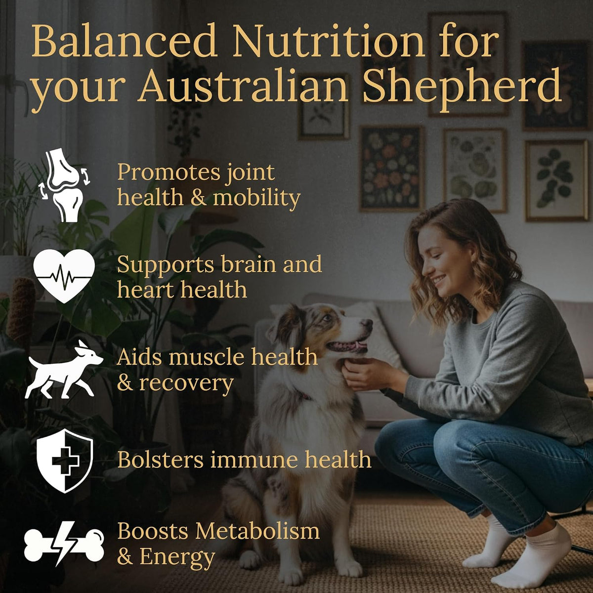 Prestige Breed Australian Shepherd Multivitamins, 90 Chews, Made in the USA with Real Bacon - görsel 2