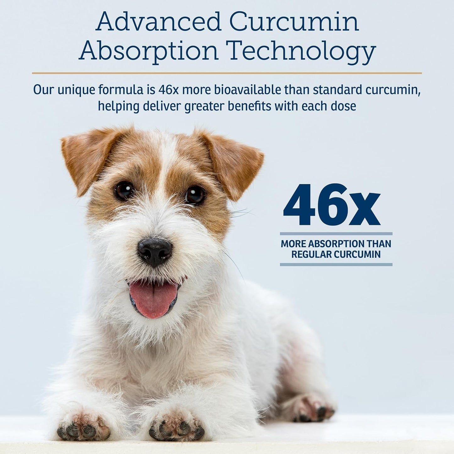 Rx Vitamins CurcuWIN - Curcumin for Dogs & Cats - Vitamins and Supplements, Allergy Relief - Provides Immune Support & Aids Digestive Support - Joint Supplement - 90ct - görsel 3